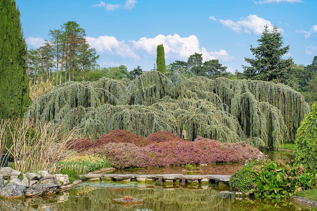 Frankreich, Rhône, Lyon, 6. Arrondissement, Parc de la Tête d'Or (Park des Goldenen Kopfes)