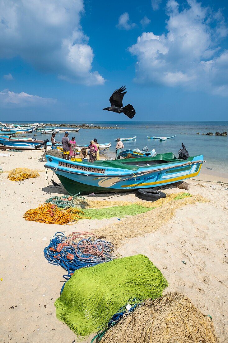 Sri Lanka, Northern province, Jaffna peninsula, Point Pedro is a town located at the northernmost point of the island, coming back from fishing