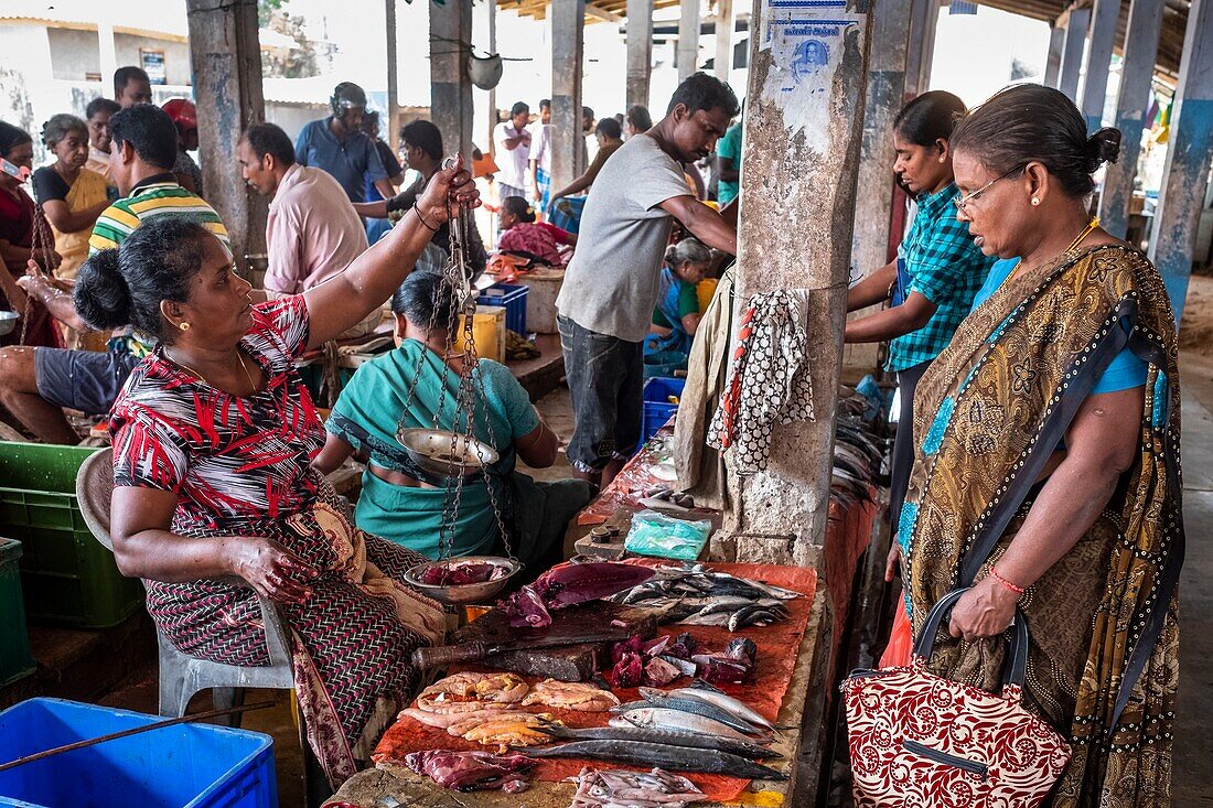 Sri Lanka, Northern province, Jaffna peninsula, Point Pedro is a town located at the northernmost point of the island, fish market