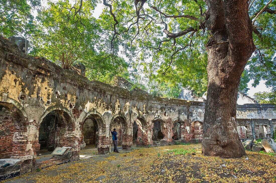 Sri Lanka, Nordprovinz, Jaffna, Alter Park, Ruinen des von den Briten erbauten Old Kachchery oder Bezirkssekretariats