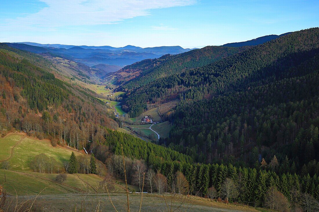 Frankreich, Haut Rhin, Hautes Vosges, Col des Bagenelles, Blick auf das Tal von Sainte Marie aux Mines