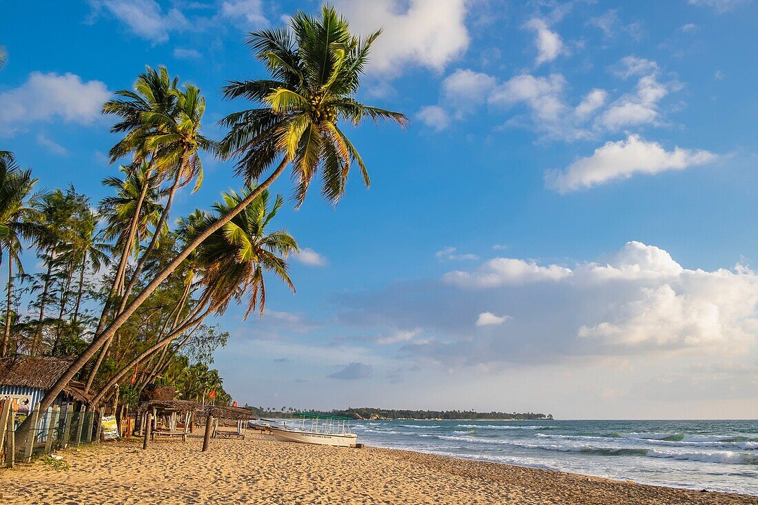 Sri Lanka, Eastern province, Trincomalee (or Trinquemalay), Uppuveli beach