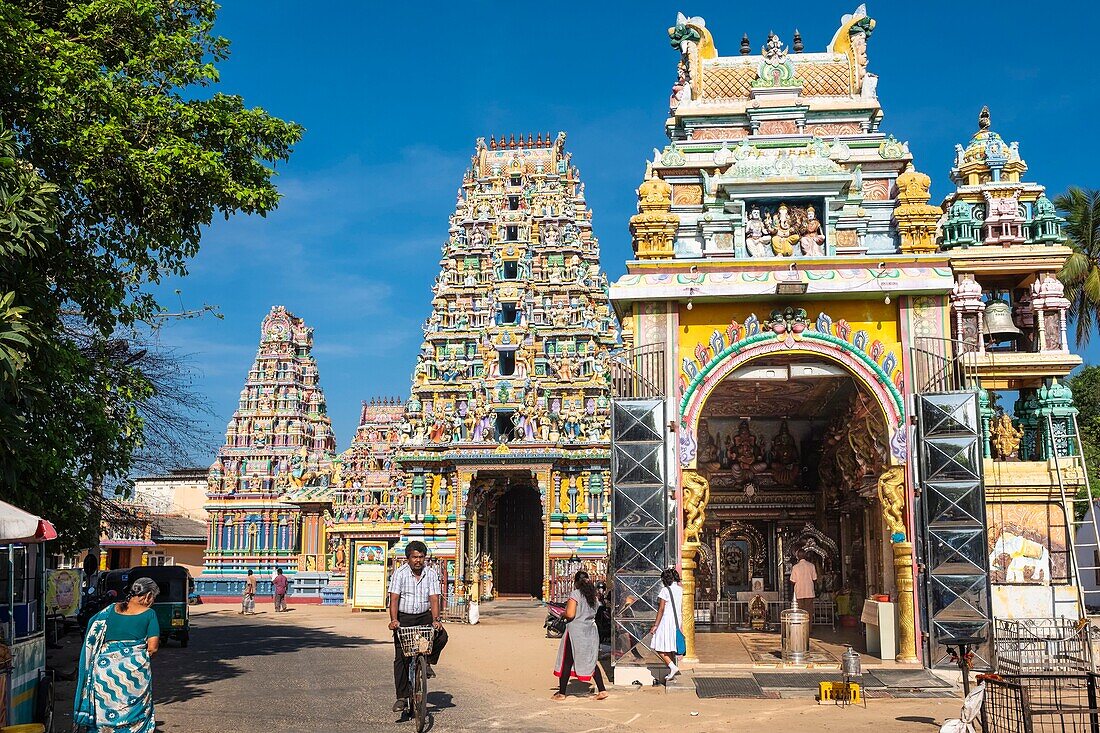 Sri Lanka, Eastern province, Trincomalee (or Trinquemalay), Pathirakali Amman Hindu temple