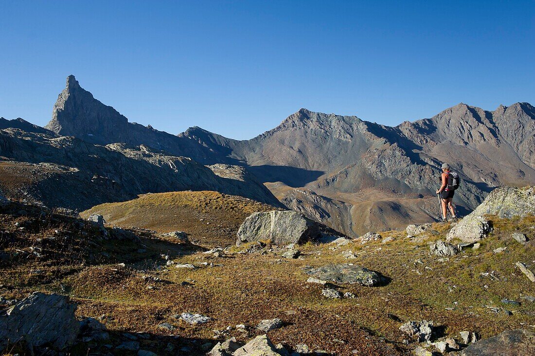 Frankreich, Hautes Alpes, Queyras-Massiv, Saint Veran, beim Aufstieg zum Pass von Saint Veran und der Spitze von Toilies (3175m)