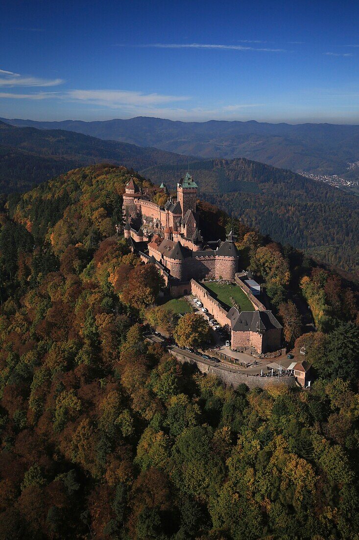 Frankreich, Bas Rhin, die Obere Königsburg an den Ausläufern der Vogesen und mit Blick auf die Ebene des Elsass, mittelalterliche Burg aus dem 12. Jahrhundert, Es ist als historisches Denkmal (Luftaufnahme)