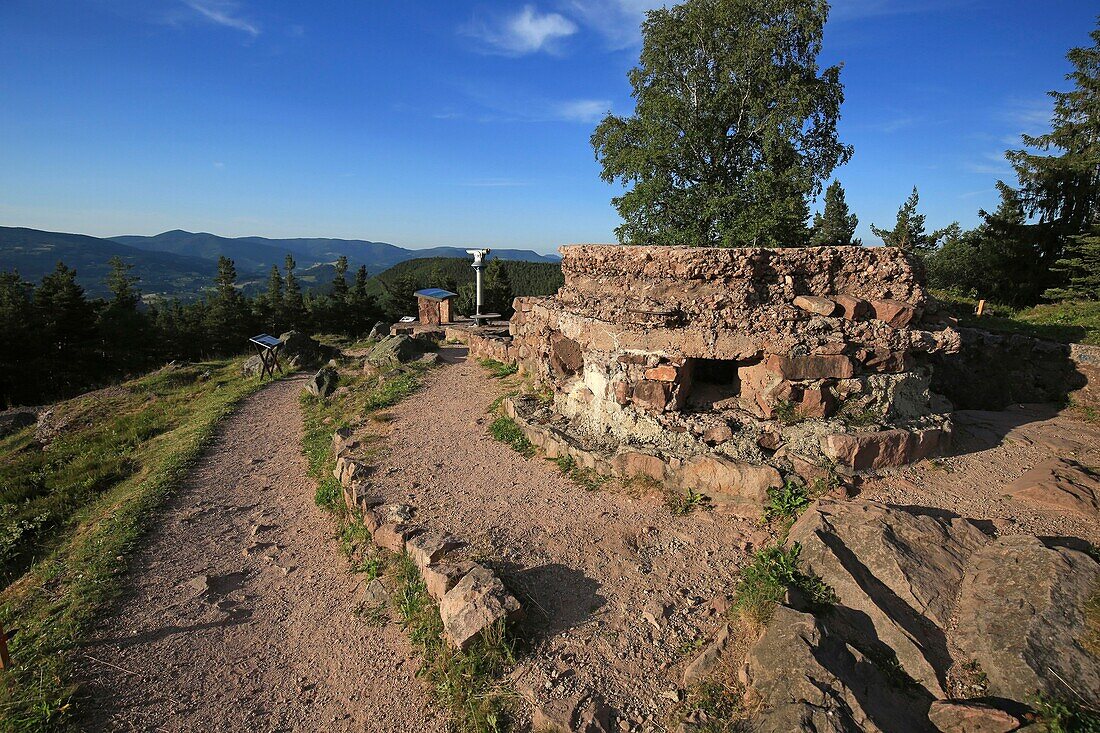 France, Haut Rhin, Vosges Massif, Collet du Linge, entrance to the Linge Memorial Museum, war of 1914 1918, fierce fighting between the valleys of Orbey and Munster