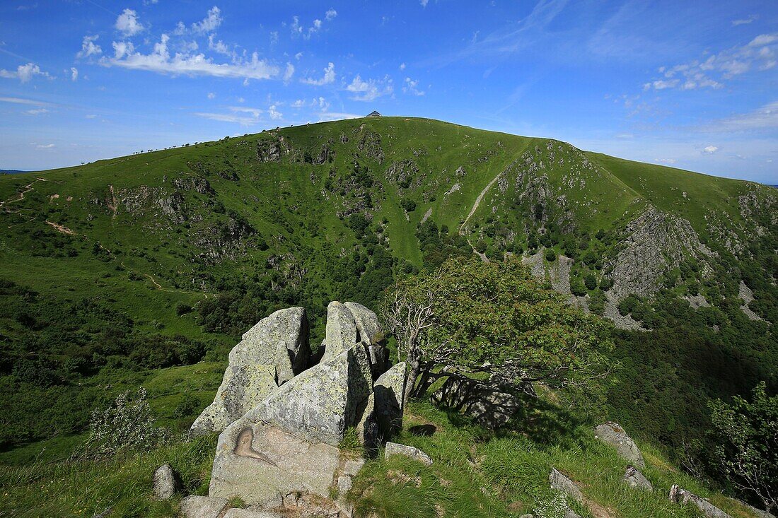 France, Haut Rhin, Hautes Vosges, Le Hohneck, third summit of the Vosges mountains with 1,363 meters of altitude, dominates the line of ridges that separates Alsace from Lorraine