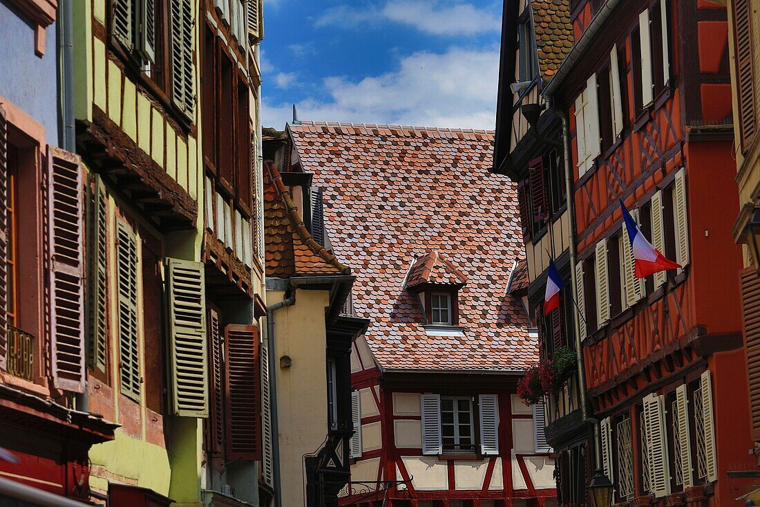 France, Haut Rhin, Colmar, glazed tiles and half timbering Rue des Marchands in Colmar