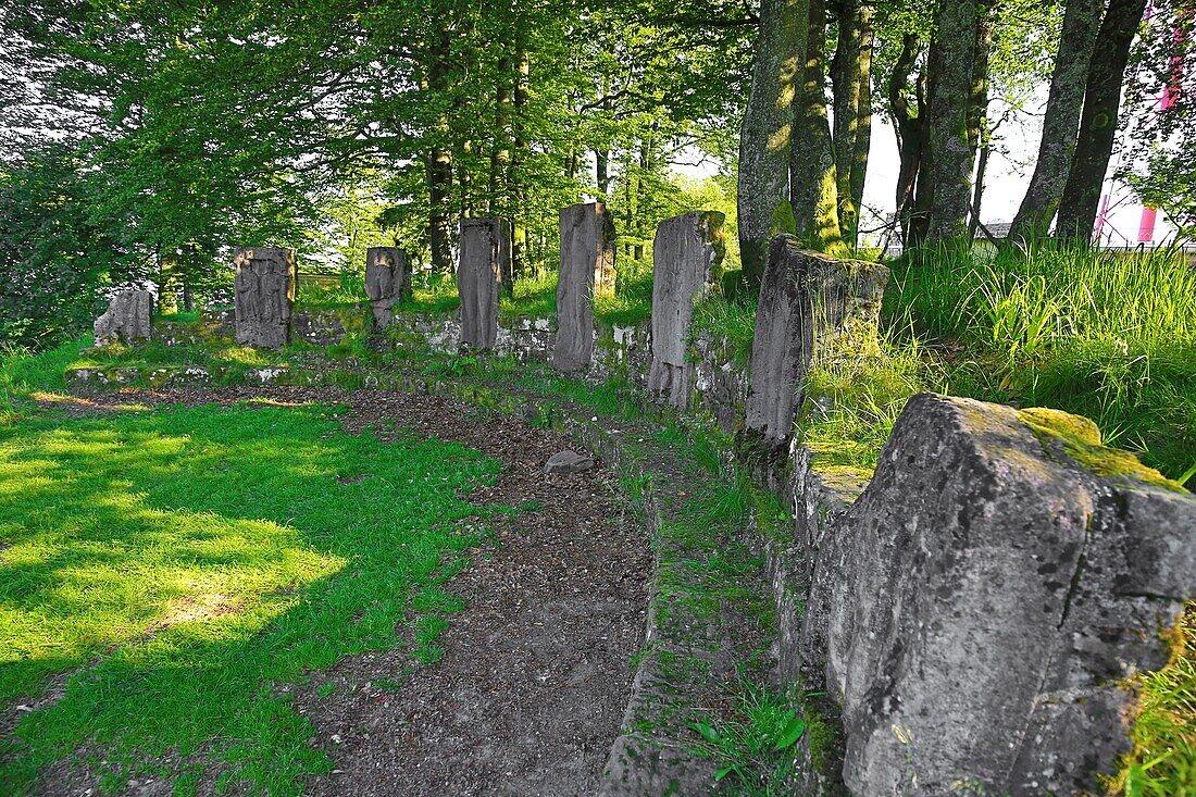 Frankreich, Vogesen, Col du Donon, Die Stelen des Merkur im Aufstieg zum Donon