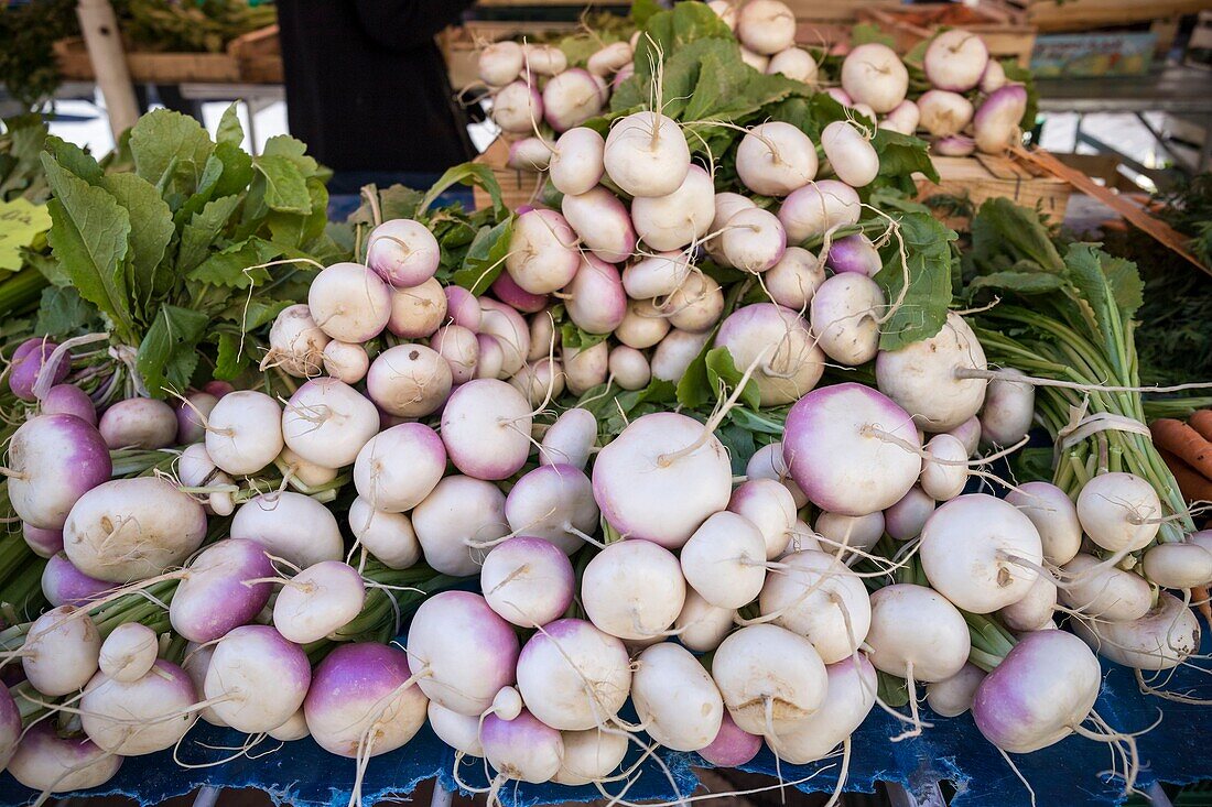France, Alpes Maritimes, Nice, listed as World Heritage by UNESCO, Old Nice district, Cours Saleya market, turnips stall