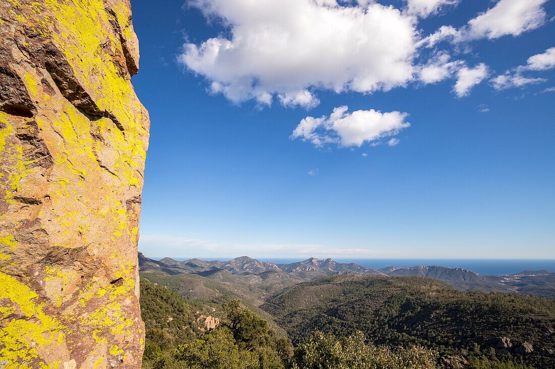 France, Var, Frejus, Esterel massif, red rhyolite rock of volcanic origin covered with yellow lichen, in the background the peaks of the Cape Roux Peak