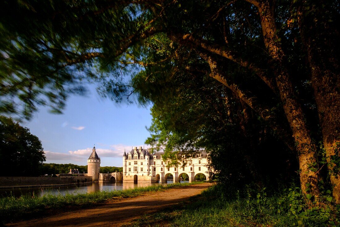 Frankreich, Indre et Loire, Loire-Tal, Schloss Chenonceau auf der Welterbeliste der UNESCO, erbaut zwischen 1513 und 1521 im Stil der Renaissance, über dem Fluss Cher