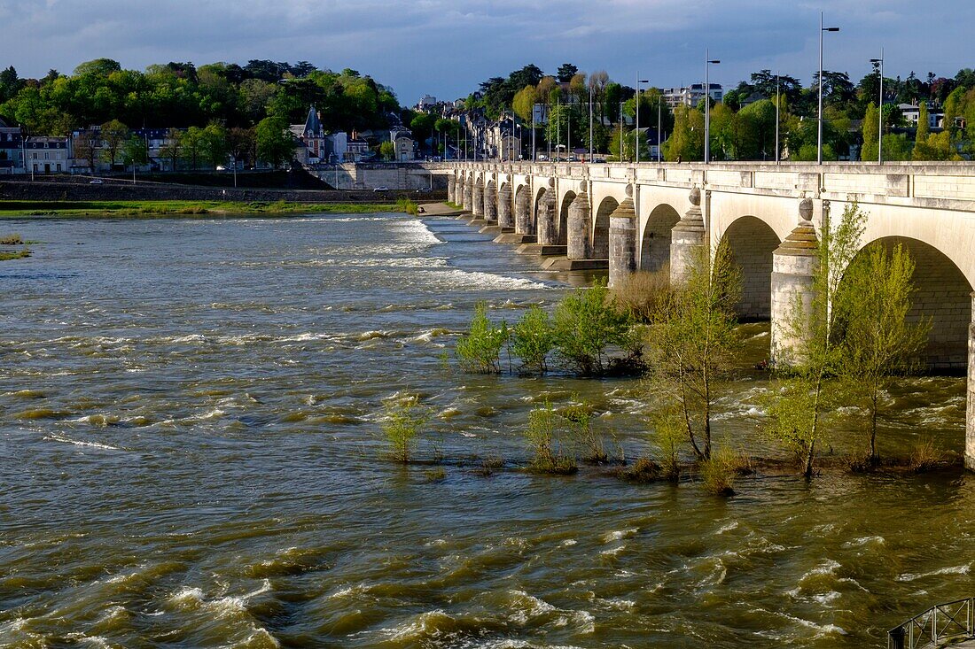 France, Indre et Loire, Loire valley, Tours, the Loire river and the wilson bridge dated 18 th century