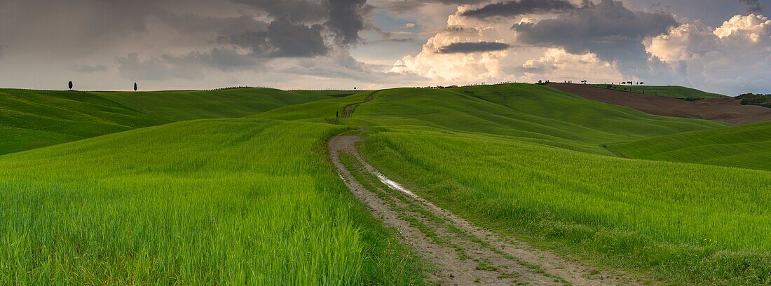 Italien, Toskana, Bezirk Siena, Orcia-Tal, von der UNESCO zum Weltkulturerbe erklärt, Hügel