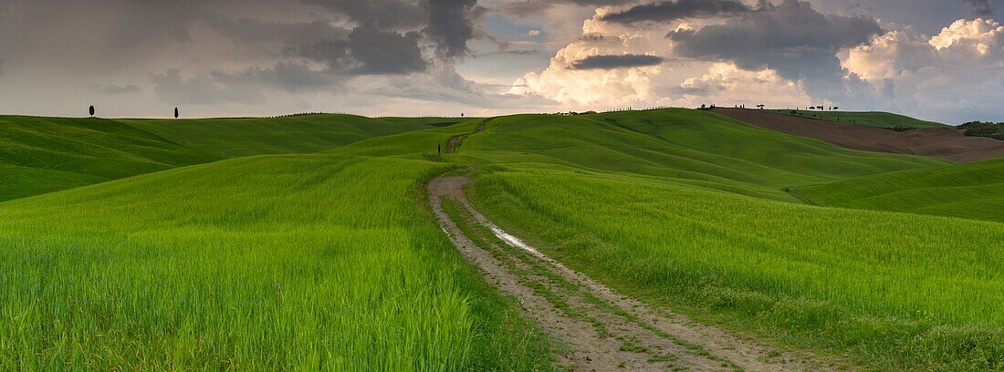 Italy, Tuscany, Siena district, Orcia Valley, listed as World Heritage by UNESCO, hills