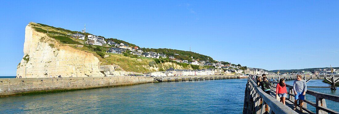 France, Seine Maritime, Pays de Caux, Cote d'Albatre (Alabaster Coast), Fecamp, wooden footbridge at the entrance of the harbour