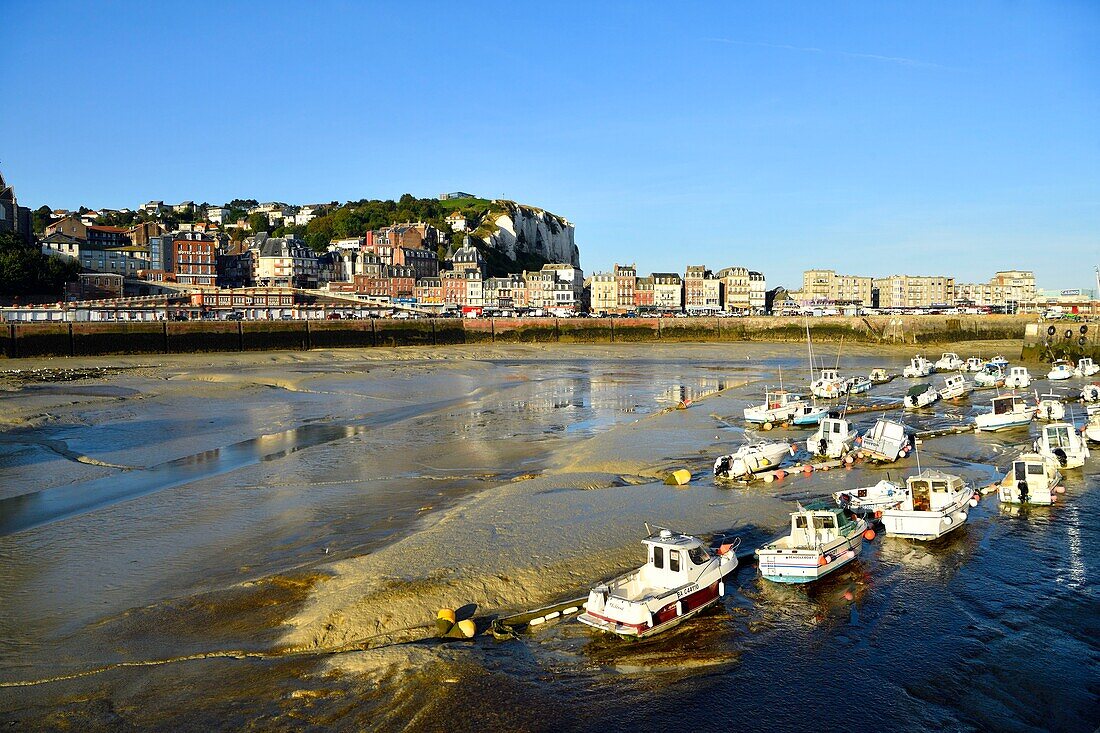 France, Seine Maritime, Le Treport, fishing harbour with quay Francois I and the cliffs