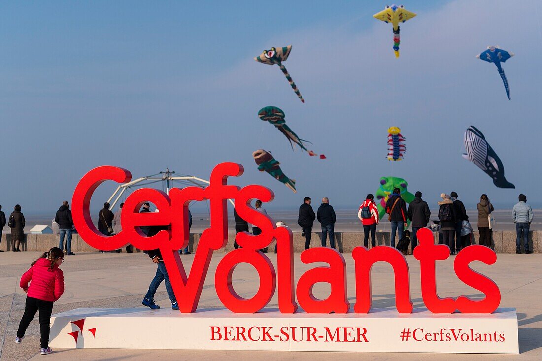 France, Pas de Calais, Opale Coast, Berck sur Mer, Berck sur Mer International Kite Meetings, during 9 days the city welcomes 500 kites from all over the world for one of the most important kite events in the world