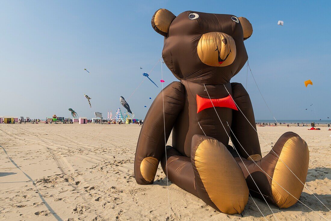 Frankreich, Pas de Calais, Opale Coast, Berck sur Mer, Berck sur Mer International Kite Meetings, 9 Tage lang empfängt die Stadt 500 Drachen aus der ganzen Welt zu einem der wichtigsten Kite-Events der Welt