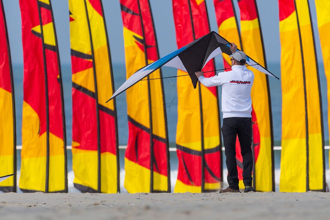 France, Pas de Calais, Opale Coast, Berck sur Mer, Berck sur Mer International Kite Meetings, during 9 days the city welcomes 500 kites from all over the world for one of the most important kite events in the world