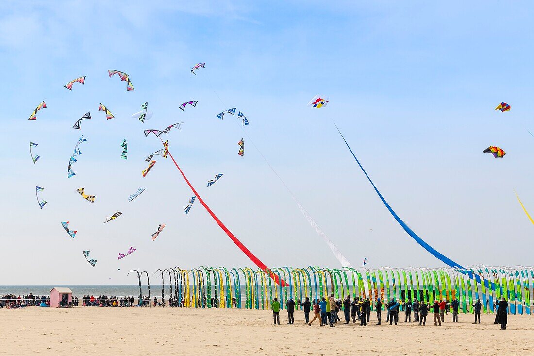 France, Pas de Calais, Opale Coast, Berck sur Mer, Berck sur Mer International Kite Meetings, during 9 days the city welcomes 500 kites from all over the world for one of the most important kite events in the world