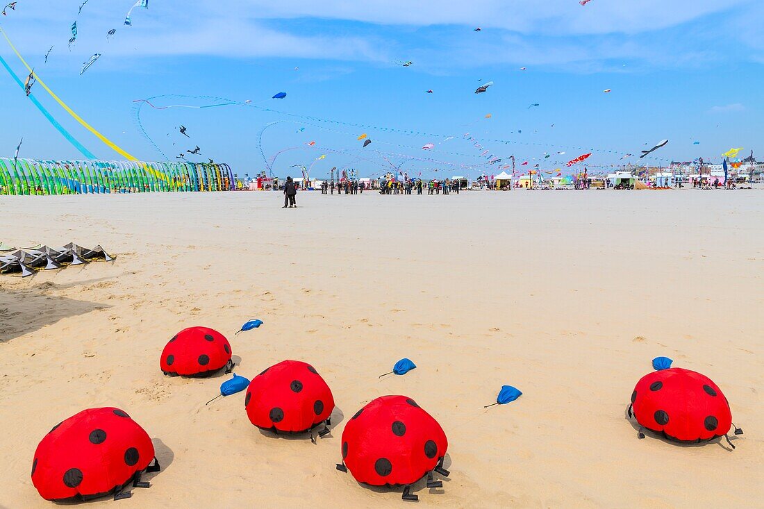 France, Pas de Calais, Opale Coast, Berck sur Mer, Berck sur Mer International Kite Meetings, during 9 days the city welcomes 500 kites from all over the world for one of the most important kite events in the world