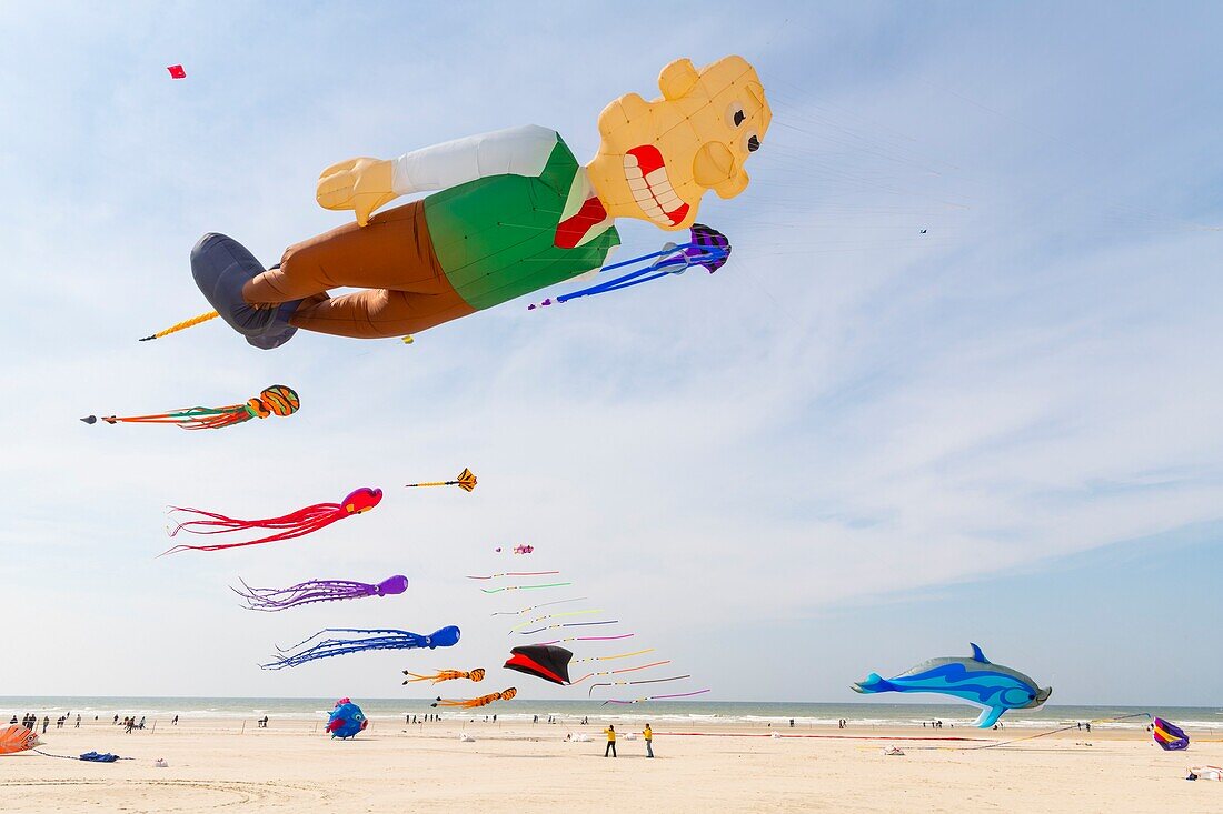 France, Pas de Calais, Opale Coast, Berck sur Mer, Berck sur Mer International Kite Meetings, during 9 days the city welcomes 500 kites from all over the world for one of the most important kite events in the world