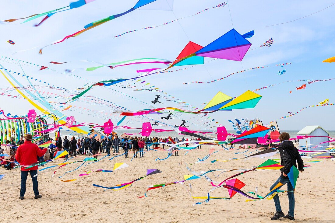 Frankreich, Pas de Calais, Opale Coast, Berck sur Mer, Berck sur Mer International Kite Meetings, 9 Tage lang empfängt die Stadt 500 Drachen aus der ganzen Welt zu einem der wichtigsten Kite-Events der Welt