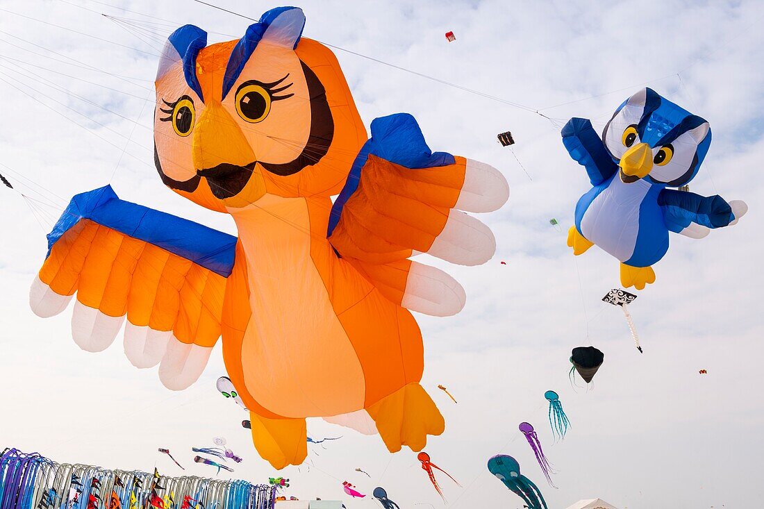 France, Pas de Calais, Opale Coast, Berck sur Mer, Berck sur Mer International Kite Meetings, during 9 days the city welcomes 500 kites from all over the world for one of the most important kite events in the world