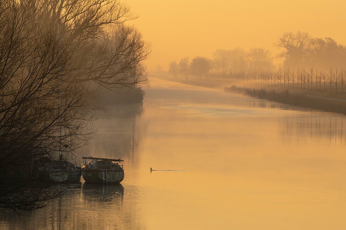 Frankreich, Somme, Baie de Somme, Saint Valery sur Somme, der Somme-Kanal bei Saint Valery, an einem nebligen Morgen