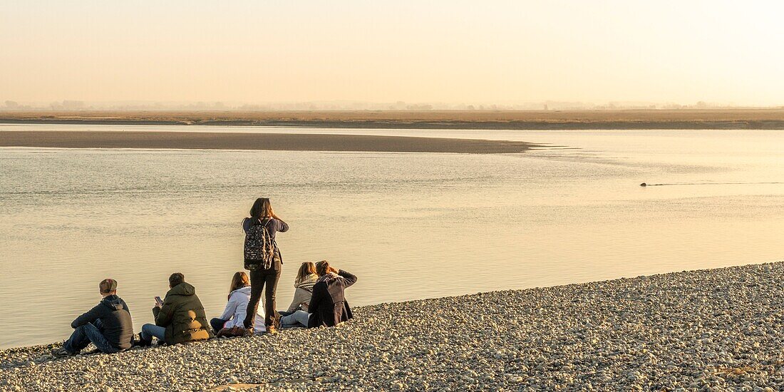 Frankreich, Somme, Baie de Somme, Le Hourdel, Spaziergänger kommen, um die Seehunde bei Le Hourdel zu sehen