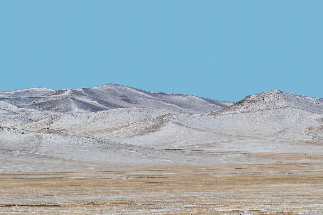 Mongolei, Ostmongolei, Steppengebiet, Landschaft, hügelig