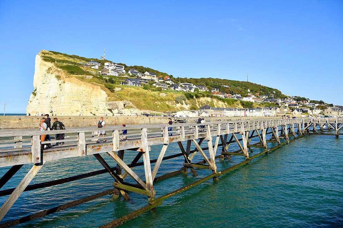 France, Seine Maritime, Pays de Caux, Cote d'Albatre (Alabaster Coast), Fecamp, wooden footbridge at the entrance of the harbour