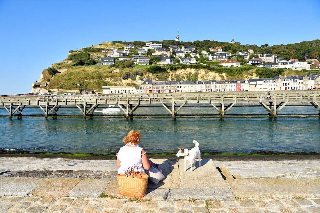 France, Seine Maritime, Pays de Caux, Cote d'Albatre (Alabaster Coast), Fecamp, wooden footbridge at the entrance of the harbour