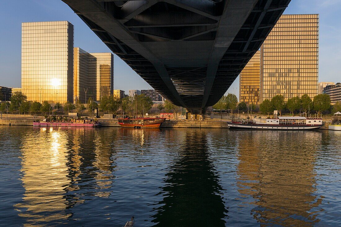 Frankreich, Paris, das Seine-Ufer Bibliotheque Nationale de France (Nationalbibliothek Frankreichs) des Architekten Dominique Perrault von unten gesehen die Simone de Beauvoir-Fußgängerbrücke des Architekten Dietmar Feichtinger