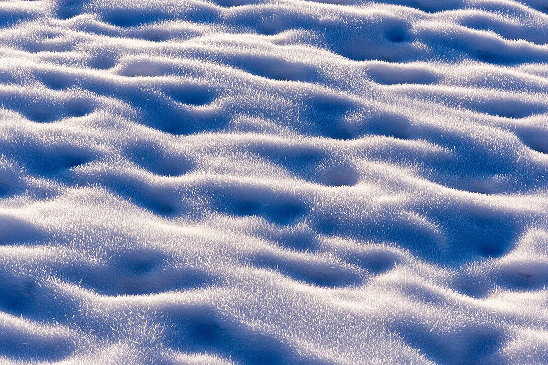 Mongolia, West Mongolia, Altai mountains, Snow crystals