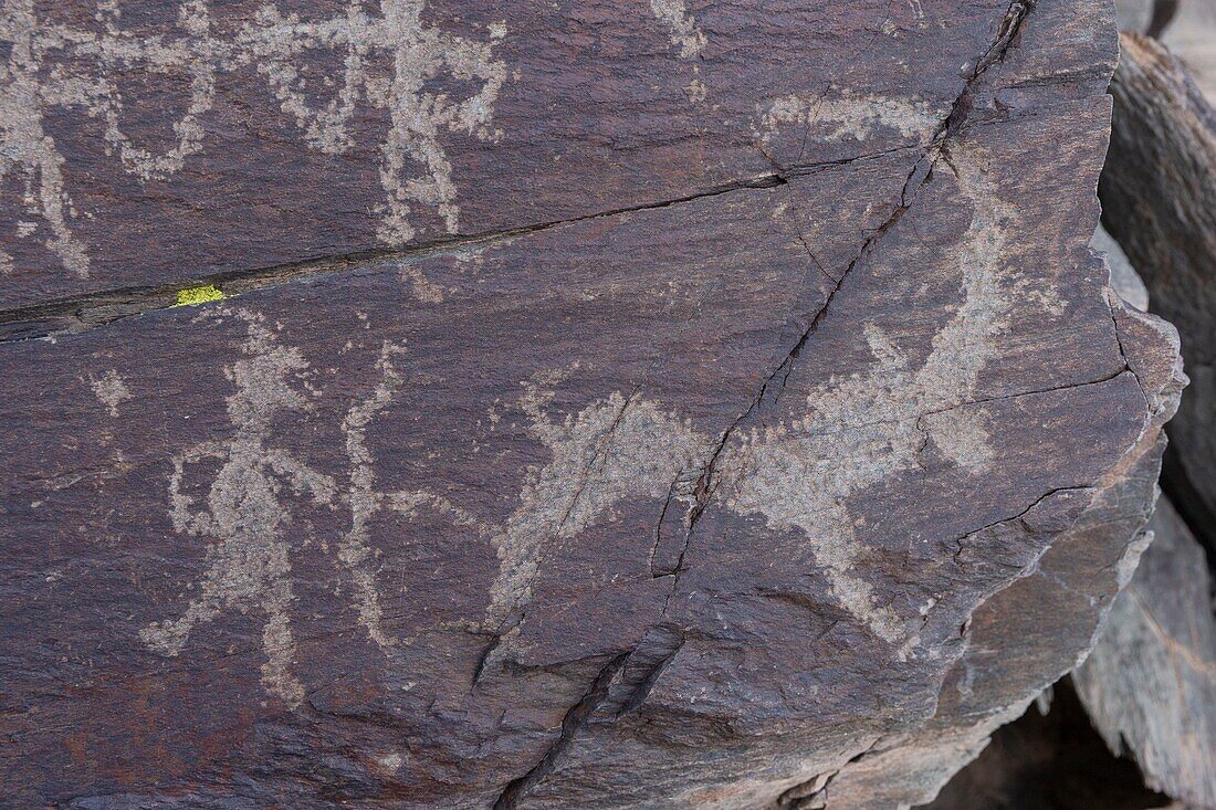 Mongolei, Westmongolei, Altaigebirge, Tal der Felsritzungen, Felsen mit Felsritzungen, datiert zwischen - 8000 und - 3000 Jahre alt