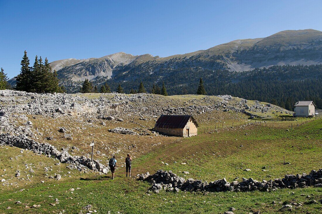 Frankreich, Drome, Regionaler Naturpark Vercors, Wanderung auf dem Vercors-Hochplateau zum neuen Jasse de la Chau und dem Gipfel des Pierre Blanche