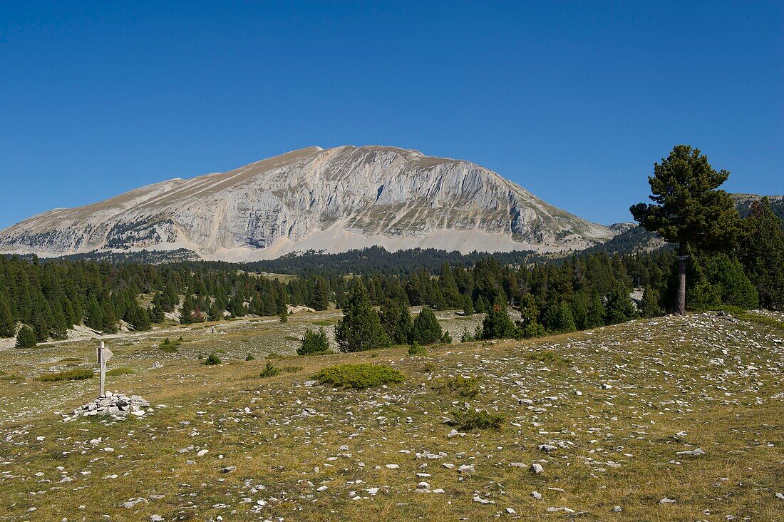 France, Drome, Vercors Regional Natural Park, the net reserve of the high plateaux of Vercors, hiking to the large hut and the Grand Veymont