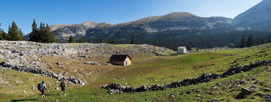 France, Drome, La Chapelle en Vercors, randonnee sur les hauts plateaux du Vercors vers la nouvelle Jasse de la Chau et le pas de la ville