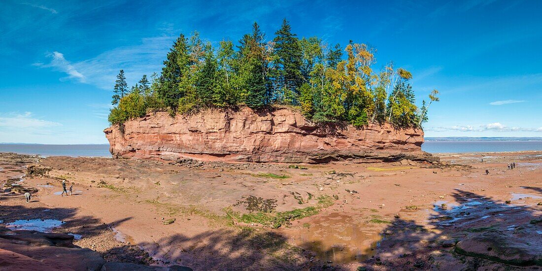 Kanada, Neuschottland, Minasville, Burncoat Head Park am Minas Basin, kleine Insel bei Ebbe