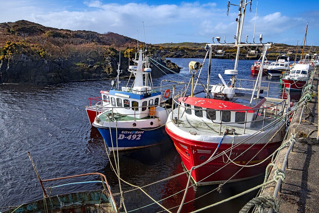 Ireland, County Donegal, Bunbeg harbour