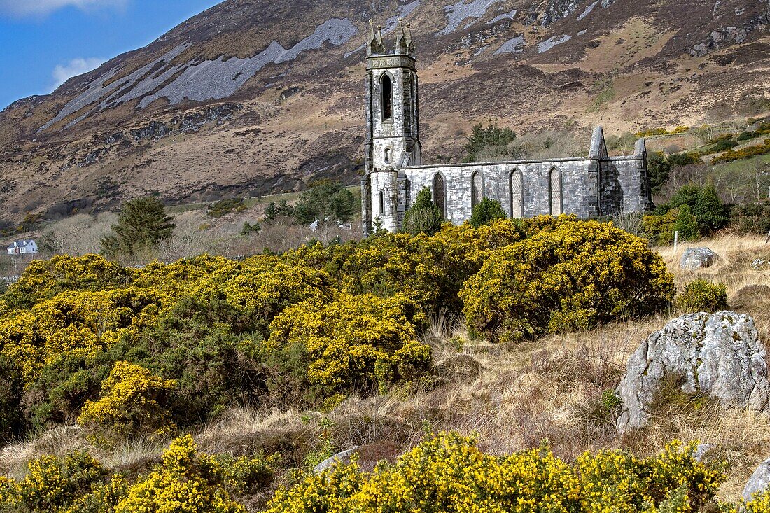 Ireland, County Donegal, Dunlewy, the 1840 abandoned church at the foot of Mount Erigal in the Glenveagh National Park