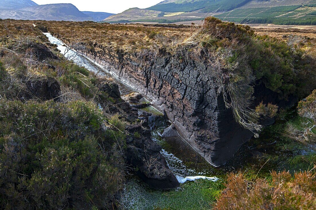 Ireland, County Donegal, Glenveagh National Park, peat