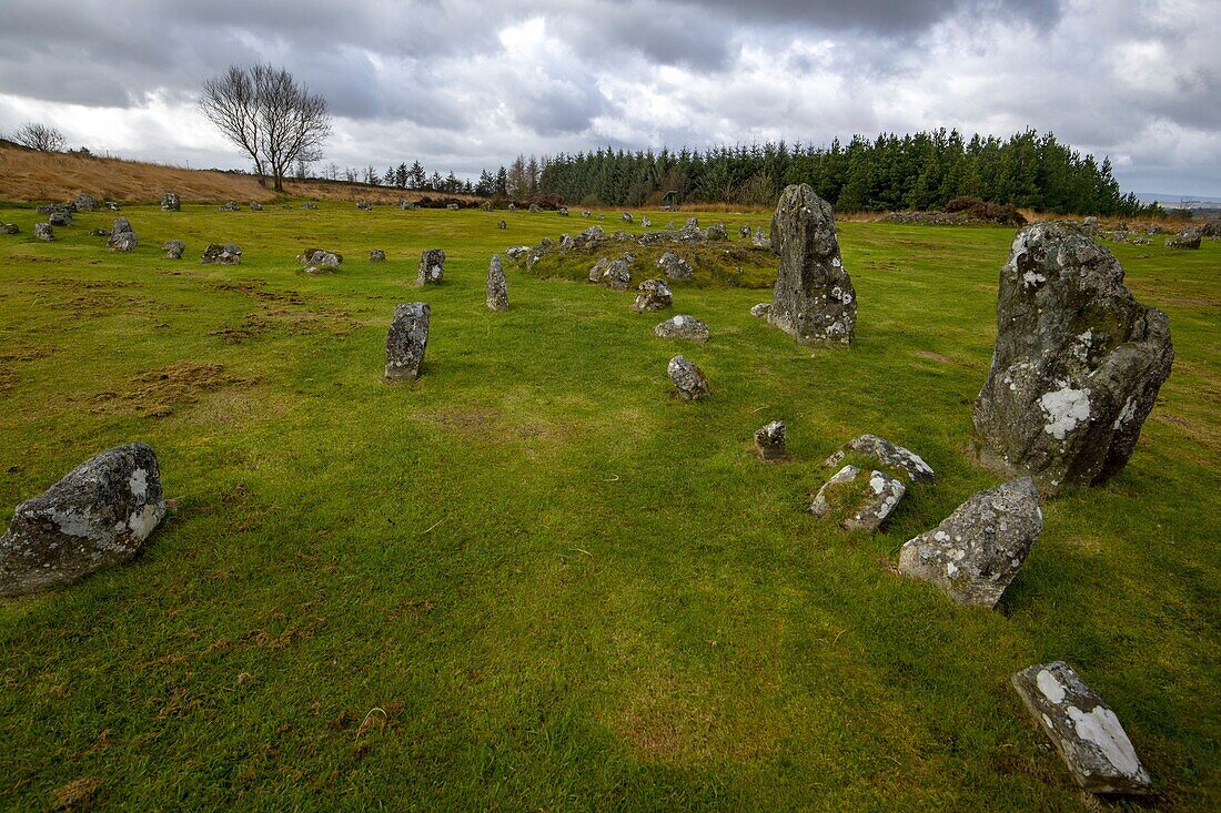 Vereinigtes Königreich, Nordirland, Ulster, Grafschaft Tyrone, Sperrin-Berge, Beaghmore-Steinkreise,