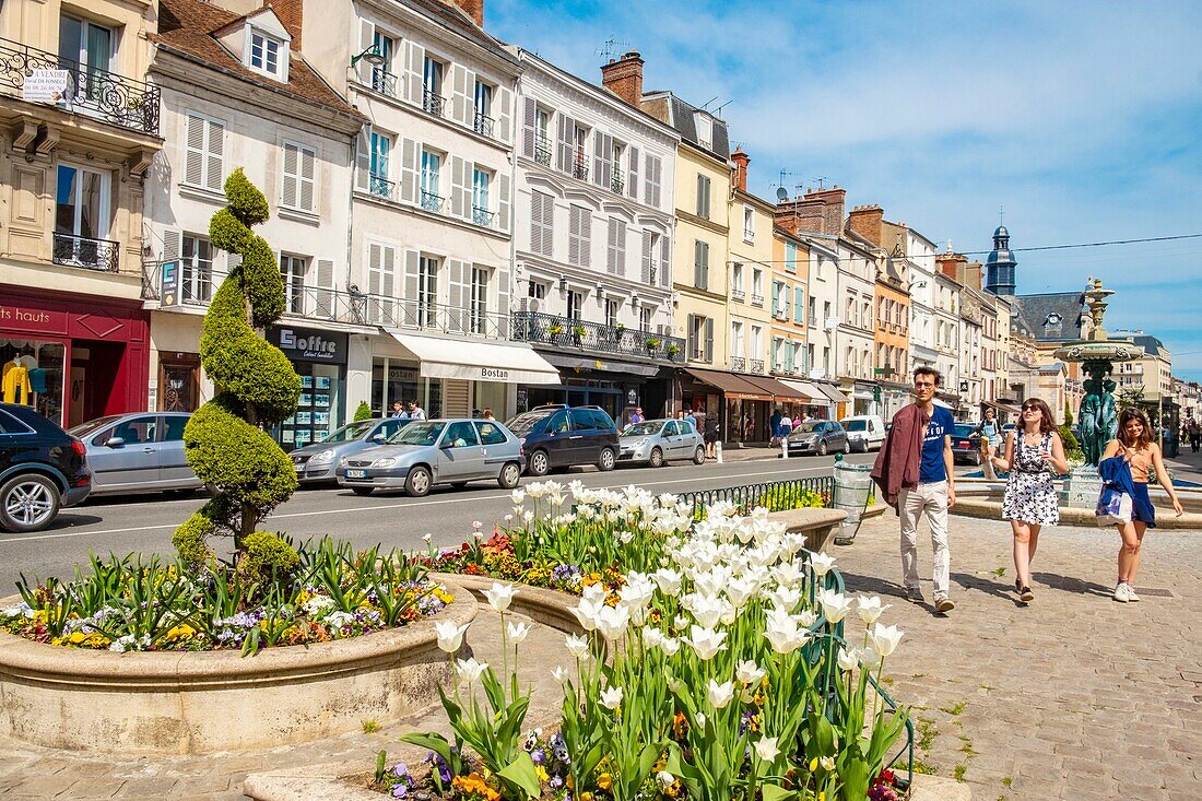 France, Seine et Marne, Fontainebleau, flea market in the city center