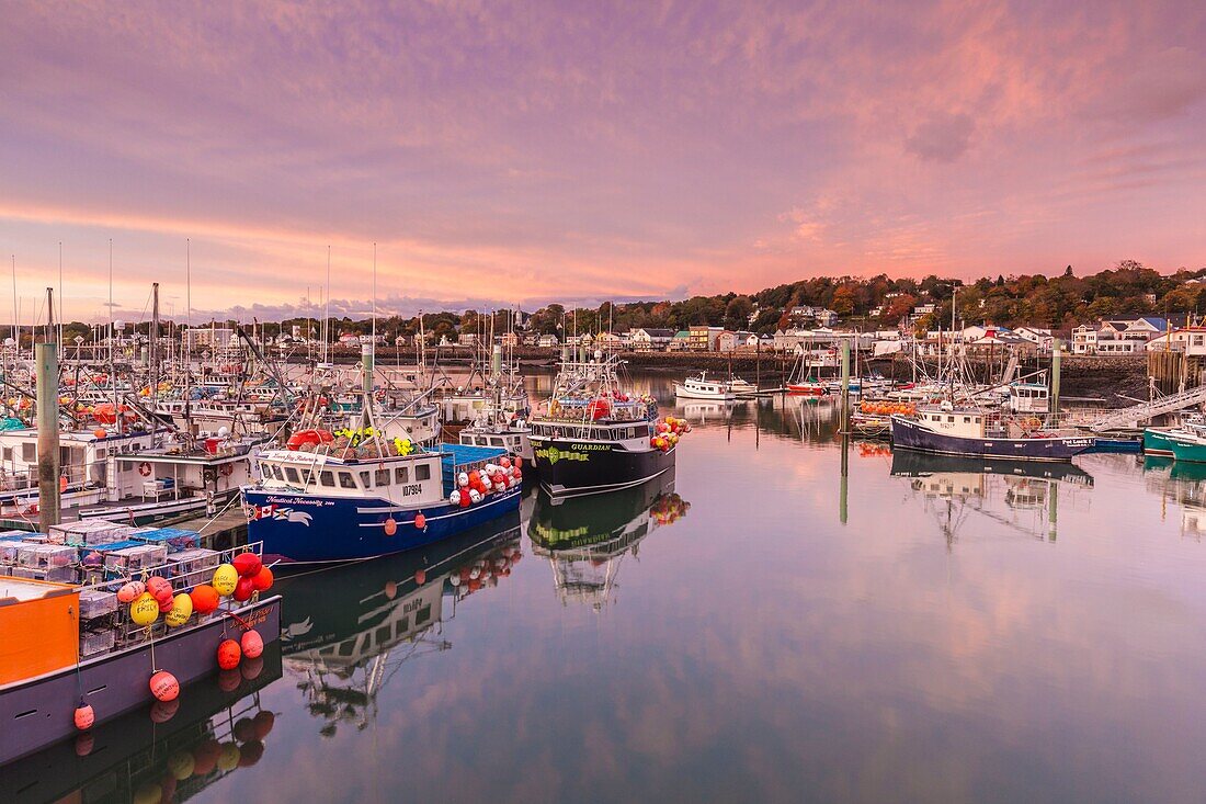 Canada, Nova Scotia, Digby, port area, world's largest scallop boat fleet, dawn