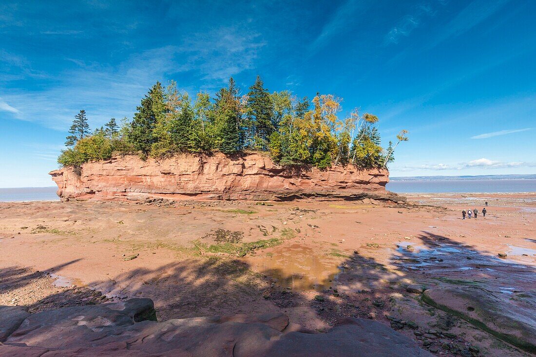 Kanada, Neuschottland, Minasville, Burncoat Head Park am Minas Basin, kleine Insel bei Ebbe