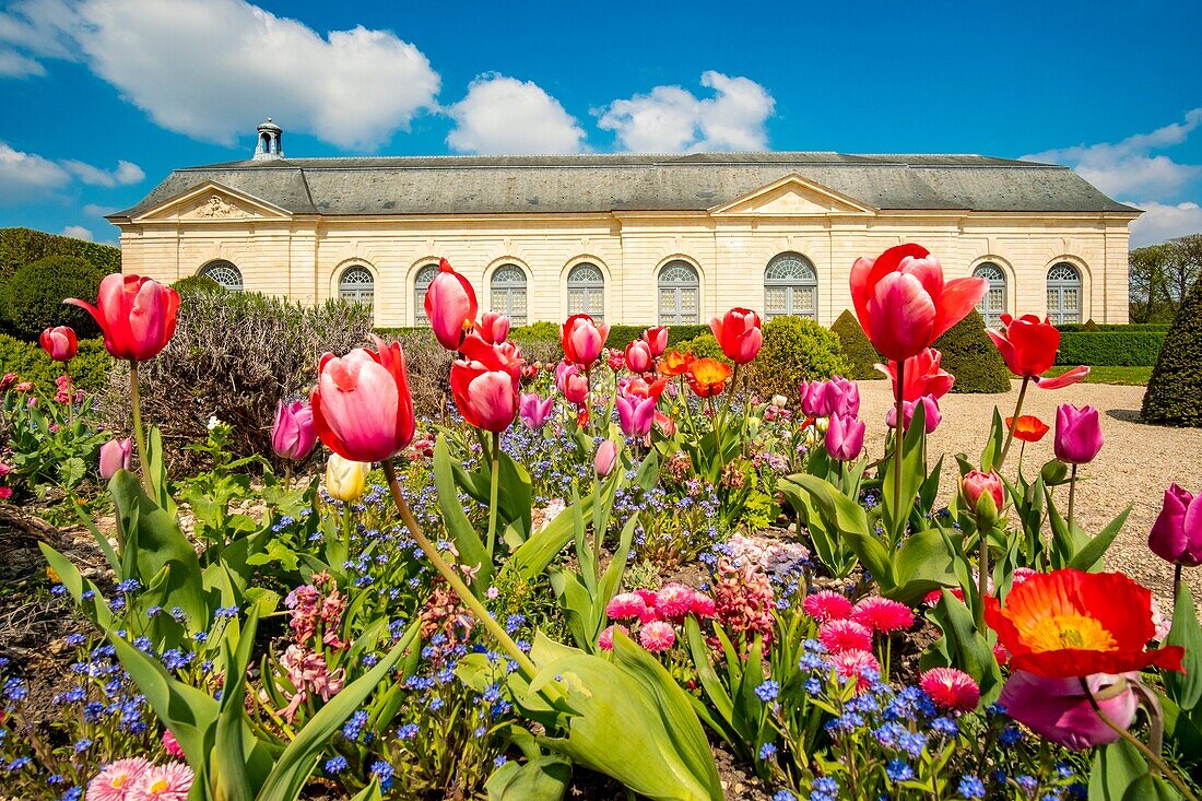 France, Hauts de Seine, the park of Sceaux, orangery