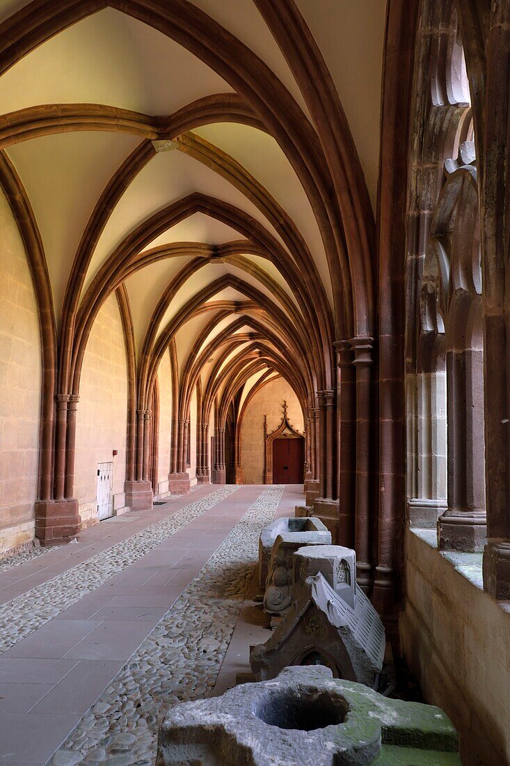 France, Vosges, Saint Die des Vosges, Saint Die cathedral, the cloister; gallery